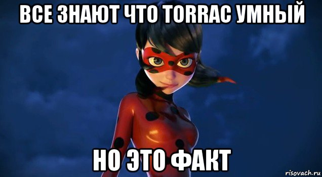 все знают что torrac умный но это факт