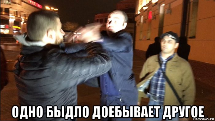  одно быдло доебывает другое, Мем Лев be