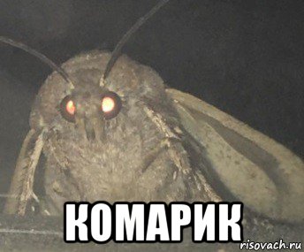  комарик, Мем Матылёк