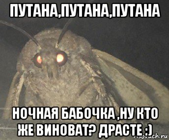 путана,путана,путана ночная бабочка ,ну кто же виноват? драсте :), Мем Матылёк