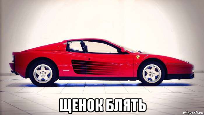  щенок блять, Мем Мем - А шо там у петухов