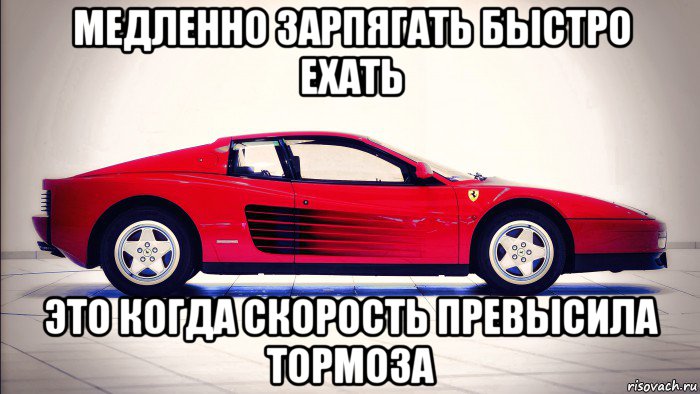 медленно зарпягать быстро ехать это когда скорость превысила тормоза, Мем Мем - А шо там у петухов