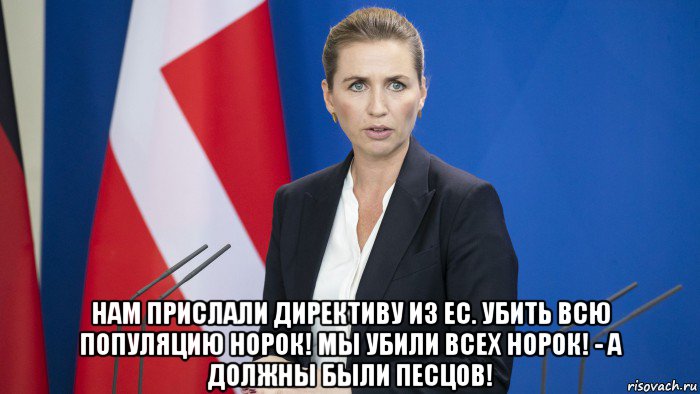  нам прислали директиву из ес. убить всю популяцию норок! мы убили всех норок! - а должны были песцов!, Мем Метте Фредериксен
