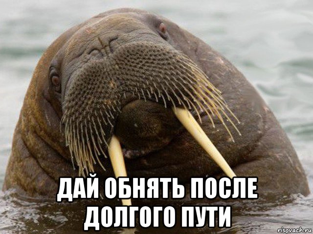  дай обнять после долгого пути
