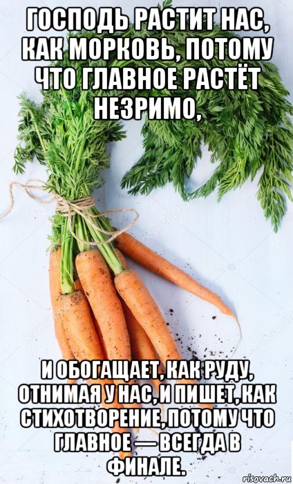 господь растит нас, как морковь, потому что главное растёт незримо, и обогащает, как руду, отнимая у нас, и пишет, как стихотворение, потому что главное — всегда в финале., Мем Мркв 01
