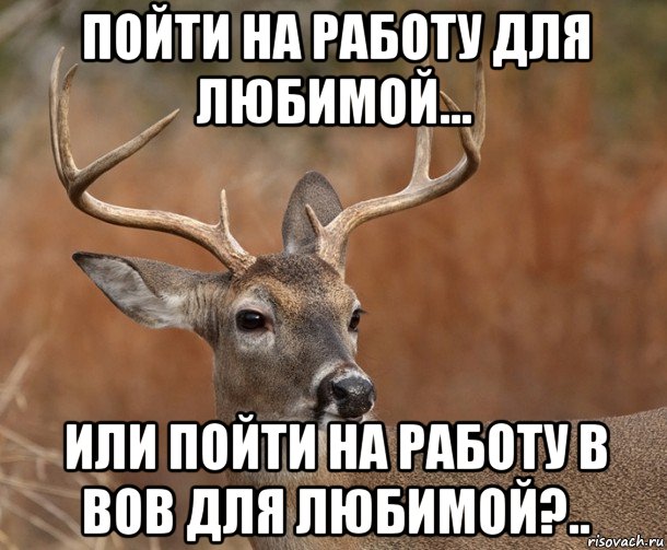 пойти на работу для любимой... или пойти на работу в вов для любимой?.., Мем  Наивный Олень v2