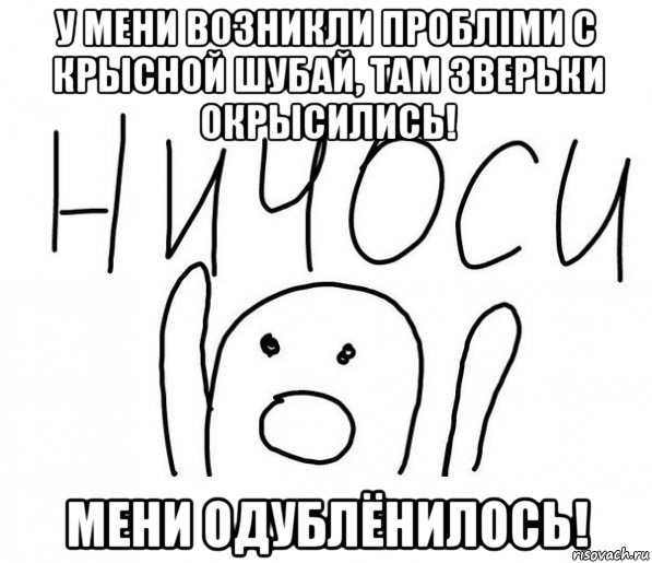 у мени возникли проблiми с крысной шубай, там зверьки окрысились! мени одублёнилось!, Мем  Ничоси