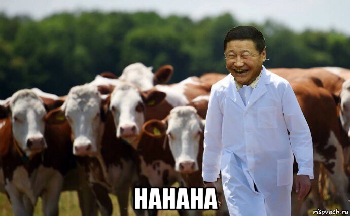  hahaha, Мем Норов Алтанхуяг с коровами