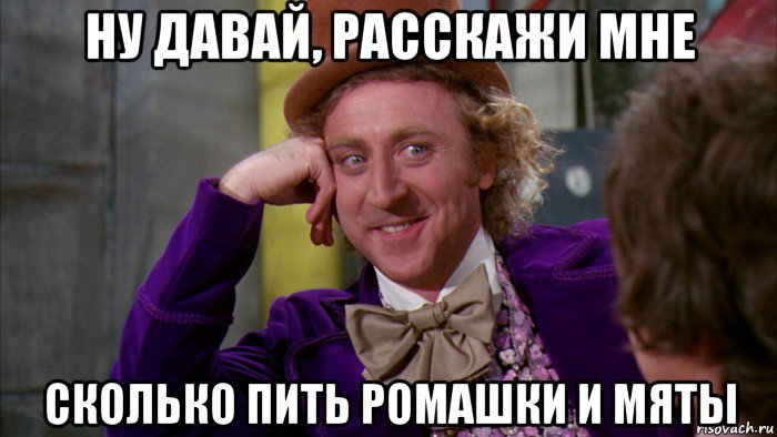 ну давай, расскажи мне сколько пить ромашки и мяты, Мем Ну давай расскажи (Вилли Вонка)