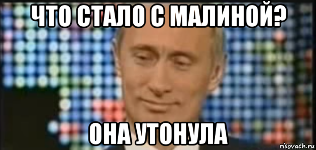 что стало с малиной? она утонула