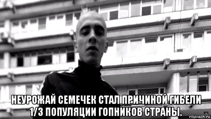  неурожай семечек стал причиной гибели 1/3 популяции гопников страны., Мем Панелька