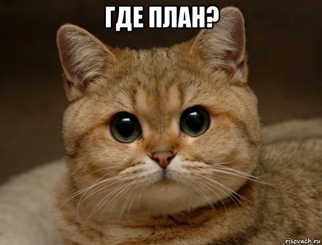 где план? 