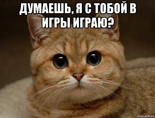 думаешь, я с тобой в игры играю? 