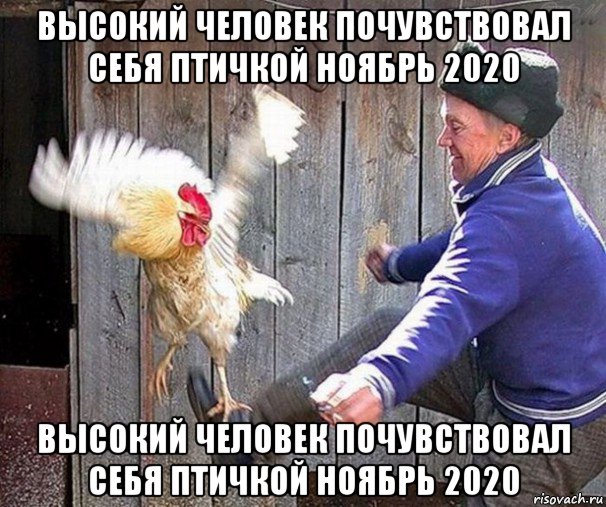 высокий человек почувствовал себя птичкой ноябрь 2020 высокий человек почувствовал себя птичкой ноябрь 2020