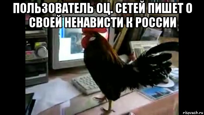 пользователь оц. сетей пишет о своей ненависти к россии , Мем Петух