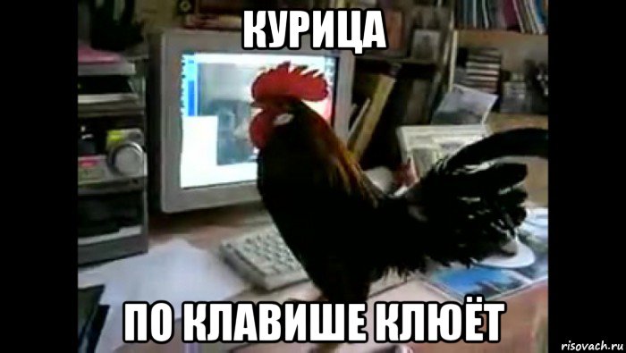 курица по клавише клюёт, Мем Петух