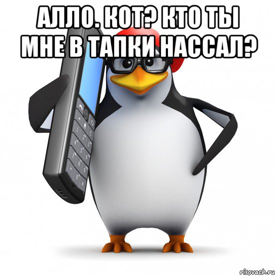 алло. кот? кто ты мне в тапки нассал? , Мем   Пингвин звонит