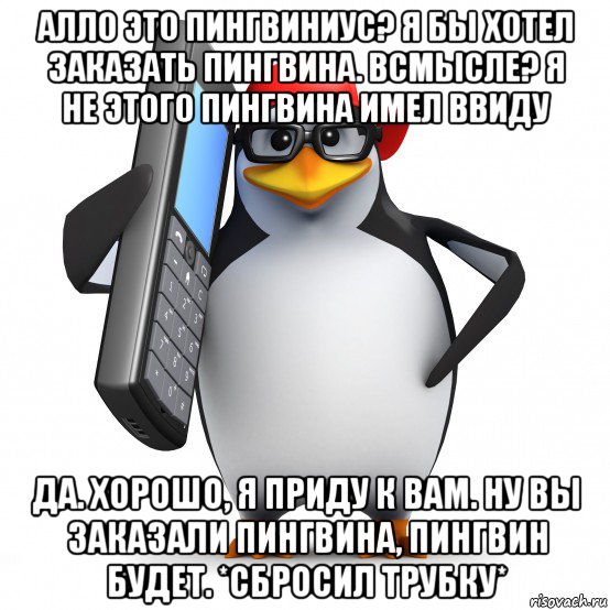 алло это пингвиниус? я бы хотел заказать пингвина. всмысле? я не этого пингвина имел ввиду да. хорошо, я приду к вам. ну вы заказали пингвина, пингвин будет. *сбросил трубку*, Мем   Пингвин звонит