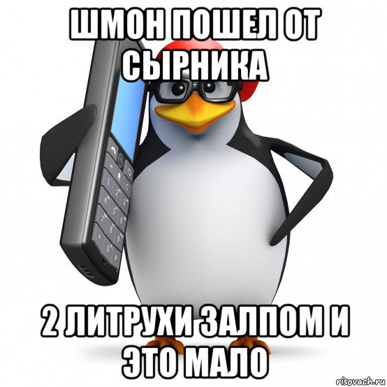 шмон пошел от сырника 2 литрухи залпом и это мало, Мем   Пингвин звонит