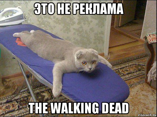 это не реклама the walking dead