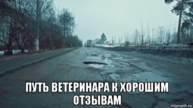  путь ветеринара к хорошим отзывам