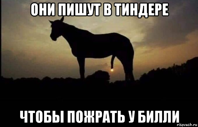 они пишут в тиндере чтобы пожрать у билли, Мем Потому что