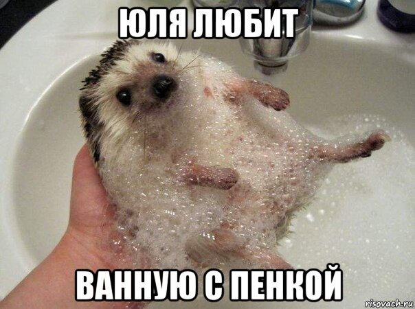 юля любит ванную с пенкой, Мем ППЦ