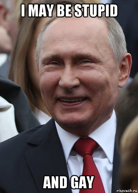 i may be stupid and gay, Мем Путин