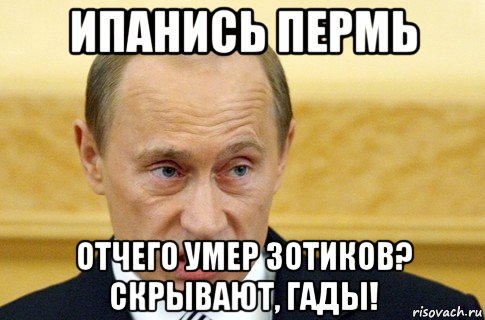 ипанись пермь отчего умер зотиков? скрывают, гады!, Мем путин