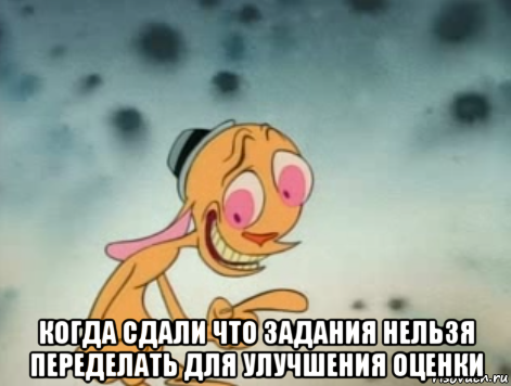  когда сдали что задания нельзя переделать для улучшения оценки, Мем Ren hoek