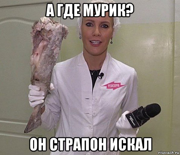 а где мурик? он страпон искал, Мем Ревизорро