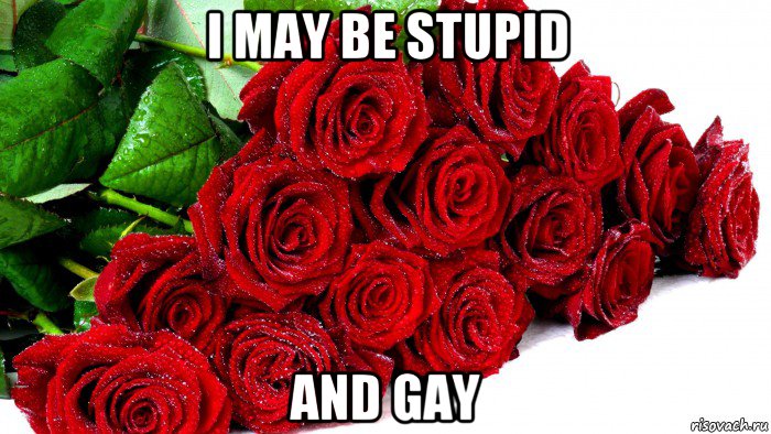i may be stupid and gay, Мем Розы