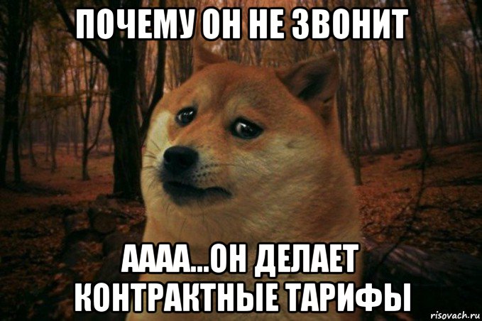 почему он не звонит аааа...он делает контрактные тарифы, Мем SAD DOGE