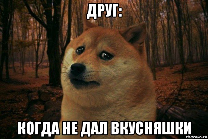 друг: когда не дал вкусняшки, Мем SAD DOGE