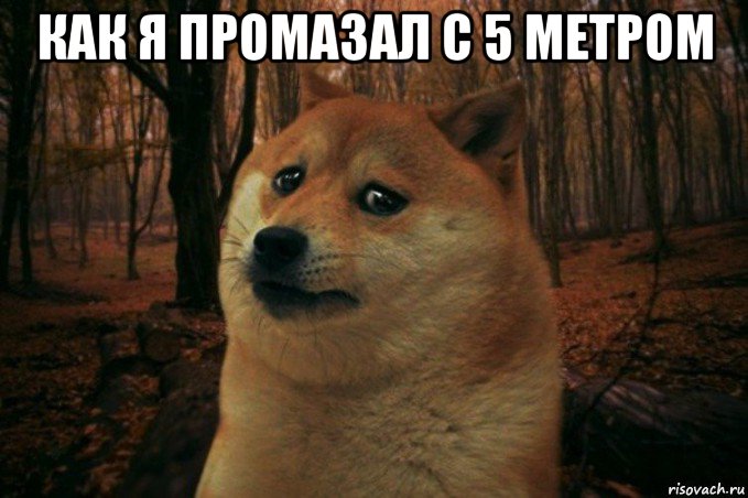 как я промазал с 5 метром , Мем SAD DOGE