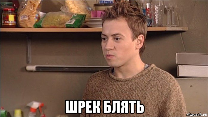  шрек блять, Мем Sasha