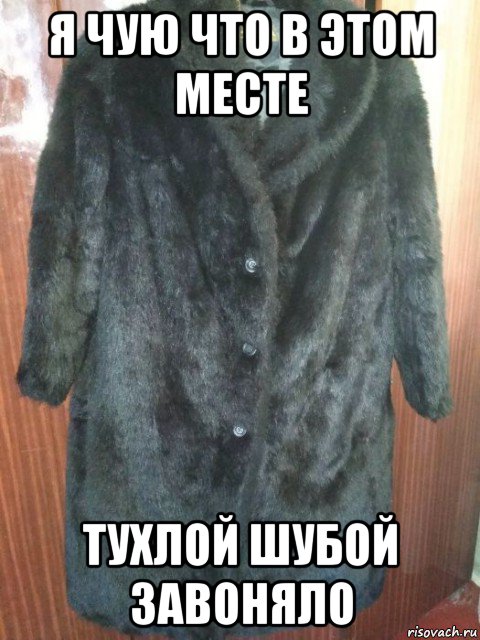 я чую что в этом месте тухлой шубой завоняло, Мем Шуба норка