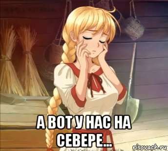  а вот у нас на севере..., Мем Славя травница