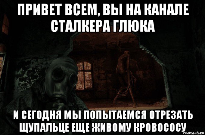 привет всем, вы на канале сталкера глюка и сегодня мы попытаемся отрезать щупальце еще живому кровососу, Мем Сталкерские пранки