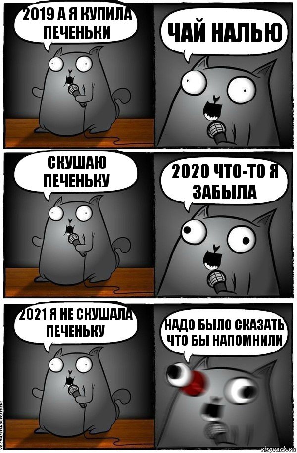 2019 А я купила печеньки Чай налью Скушаю печеньку 2020 Что-то я забыла 2021 я не скушала печеньку Надо было сказать что бы напомнили, Комикс  Стендап-кот