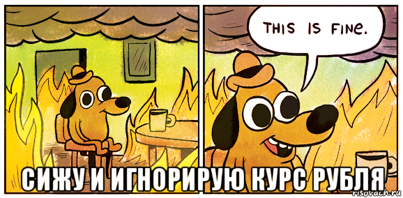  сижу и игнорирую курс рубля, Мем This is fine