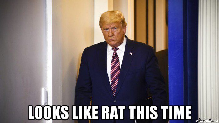  looks like rat this time