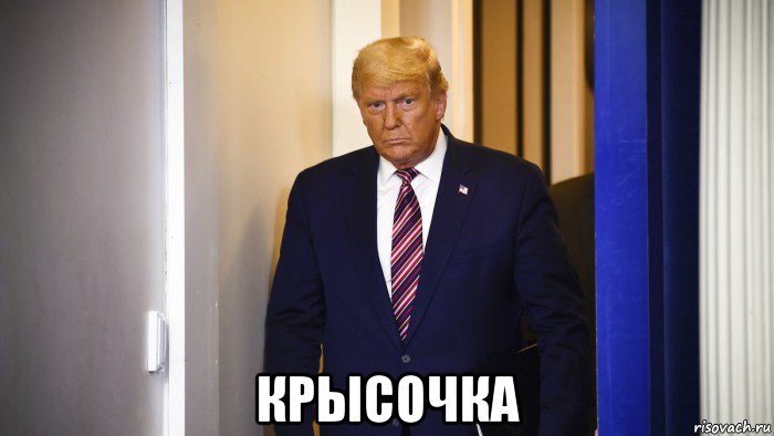  крысочка