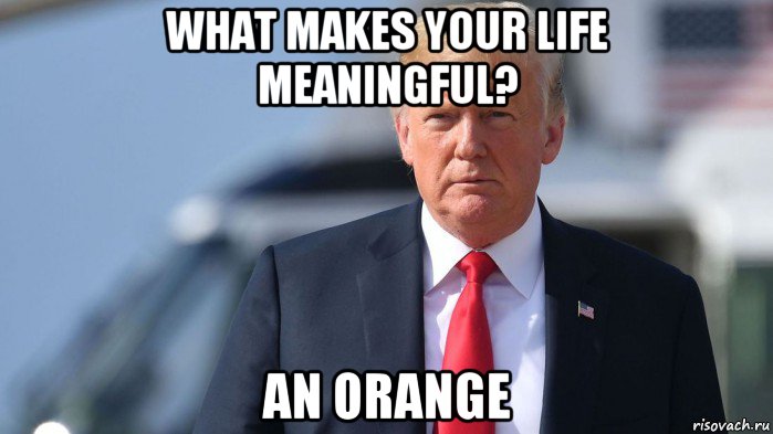 what makes your life meaningful? an orange, Мем Trump