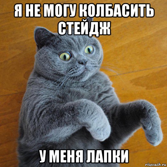 я не могу колбасить стейдж у меня лапки