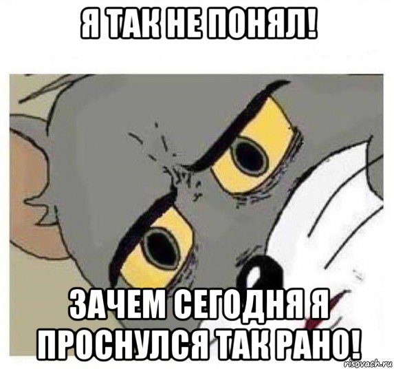 я так не понял! зачем сегодня я проснулся так рано!