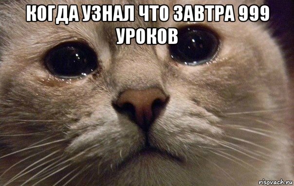 когда узнал что завтра 999 уроков , Мем   В мире грустит один котик