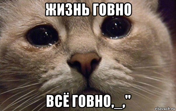 жизнь говно всё говно,_,"