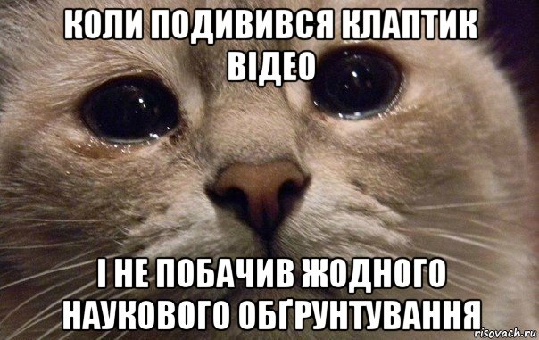 коли подивився клаптик відео і не побачив жодного наукового обґрунтування, Мем   В мире грустит один котик