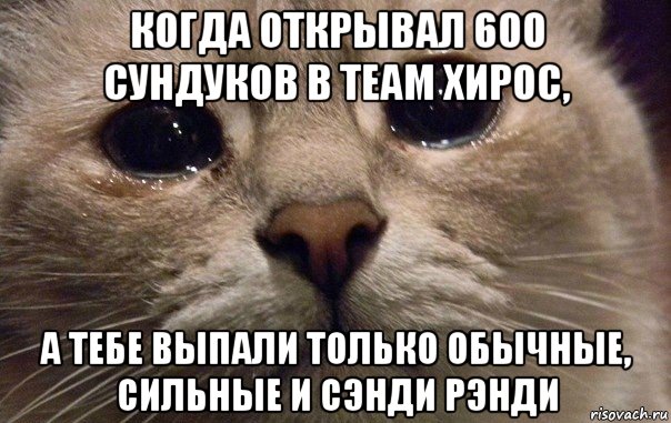 когда открывал 600 сундуков в теам хирос, а тебе выпали только обычные, сильные и сэнди рэнди